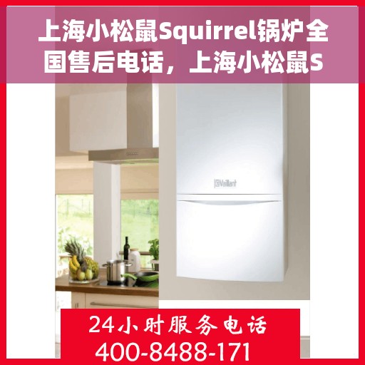 上海小松鼠Squirrel锅炉全国售后电话，上海小松鼠Squirrel锅炉全国售后电话及维修服务保障