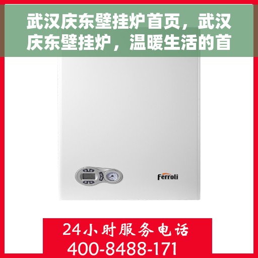 武汉庆东壁挂炉首页，武汉庆东壁挂炉，温暖生活的首选首页
