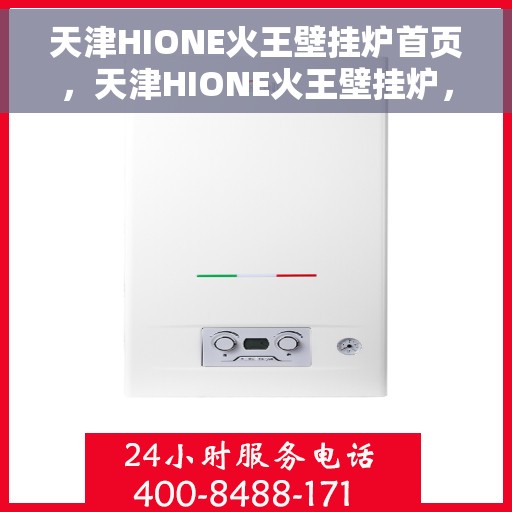天津HIONE火王壁挂炉首页，天津HIONE火王壁挂炉，高效温暖，品质之选