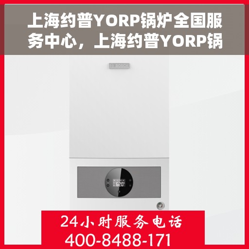 上海约普YORP锅炉全国服务中心，上海约普YORP锅炉，全国服务中心专业团队，为您提供全方位服务支持
