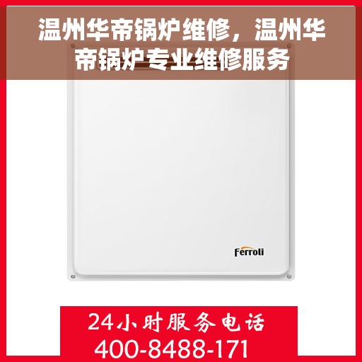 温州华帝锅炉维修，温州华帝锅炉专业维修服务