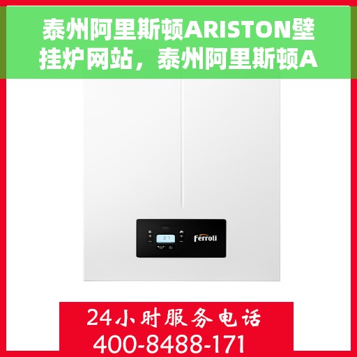 泰州阿里斯顿ARISTON壁挂炉网站，泰州阿里斯顿ARISTON壁挂炉，专业品质，温暖您的生活