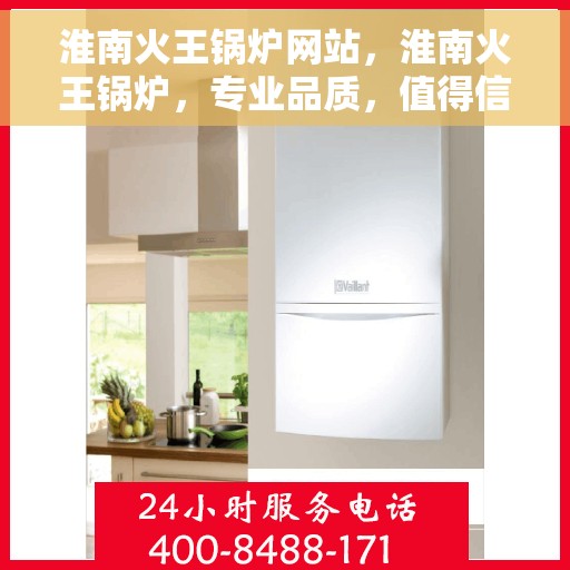 淮南火王锅炉网站，淮南火王锅炉，专业品质，值得信赖的网站