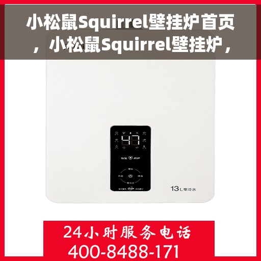 小松鼠Squirrel壁挂炉首页，小松鼠Squirrel壁挂炉，温暖生活的首选首页