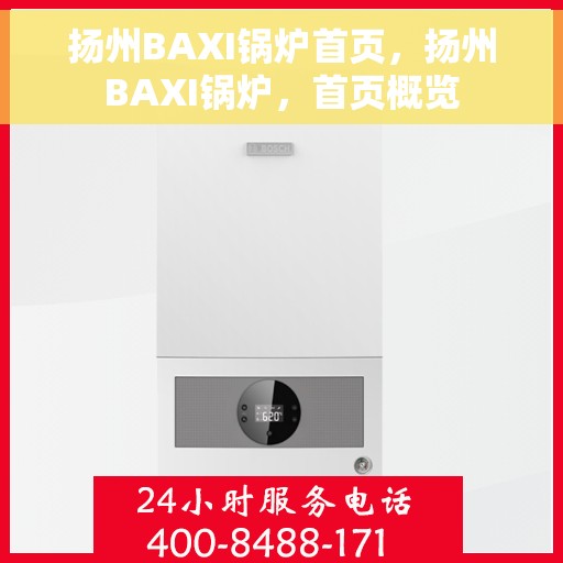 扬州BAXI锅炉首页，扬州BAXI锅炉，首页概览