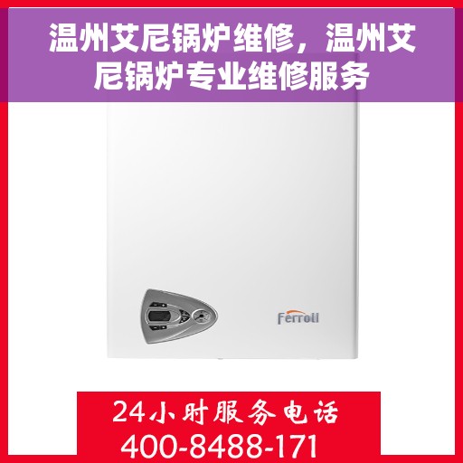 温州艾尼锅炉维修，温州艾尼锅炉专业维修服务