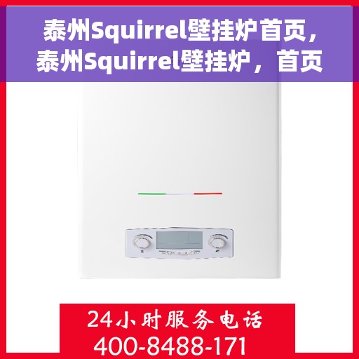 泰州Squirrel壁挂炉首页，泰州Squirrel壁挂炉，首页概览