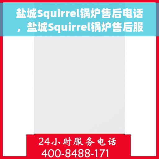 盐城Squirrel锅炉售后电话，盐城Squirrel锅炉售后服务热线，专业解决您的锅炉问题！