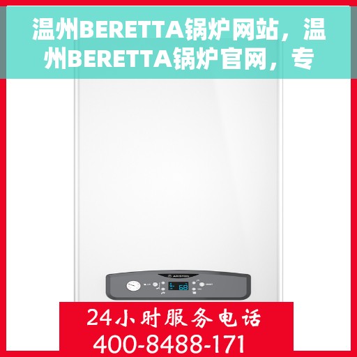 温州BERETTA锅炉网站，温州BERETTA锅炉官网，专业品质，高效舒适的温暖之源