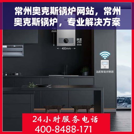 常州奥克斯锅炉网站，常州奥克斯锅炉，专业解决方案，品质卓越之选