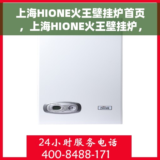 上海HIONE火王壁挂炉首页，上海HIONE火王壁挂炉，高效温暖，品质之选的首页展示