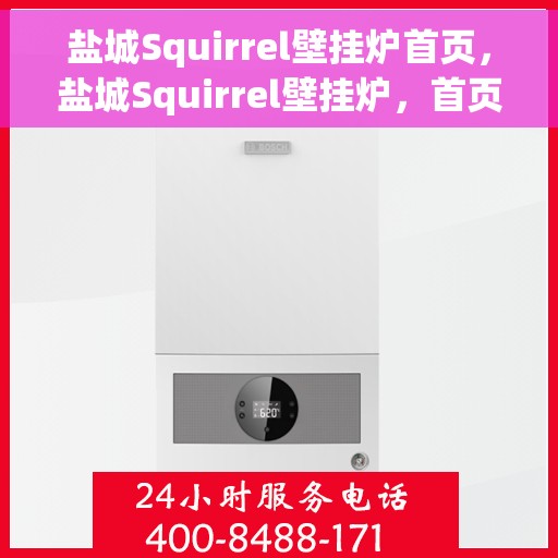 盐城Squirrel壁挂炉首页，盐城Squirrel壁挂炉，首页概览