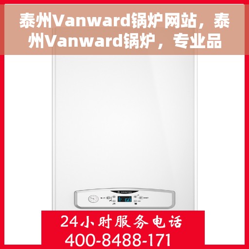 泰州Vanward锅炉网站，泰州Vanward锅炉，专业品质，高效运行的行业先锋