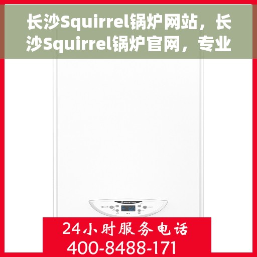 长沙Squirrel锅炉网站，长沙Squirrel锅炉官网，专业解决方案与高效能源管理的首选