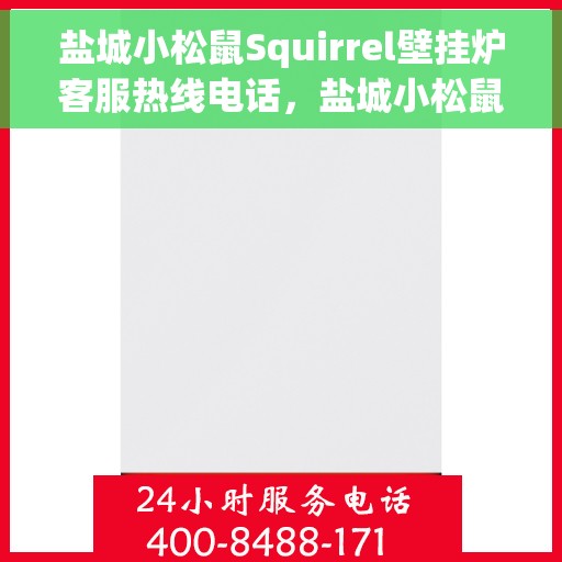 盐城小松鼠Squirrel壁挂炉客服热线电话，盐城小松鼠Squirrel壁挂炉客户服务热线电话，专业支持与解决方案一站式平台