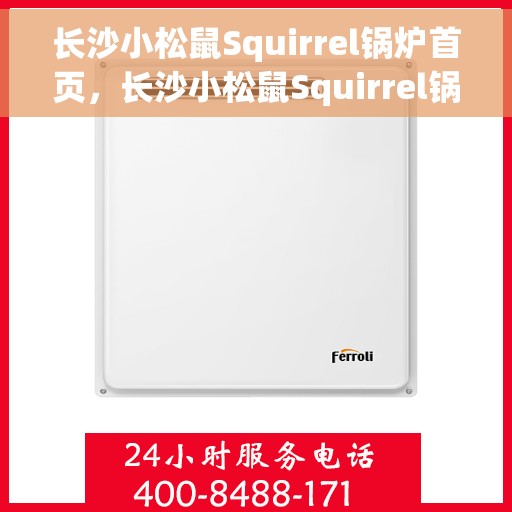 长沙小松鼠Squirrel锅炉首页，长沙小松鼠Squirrel锅炉，首页概览