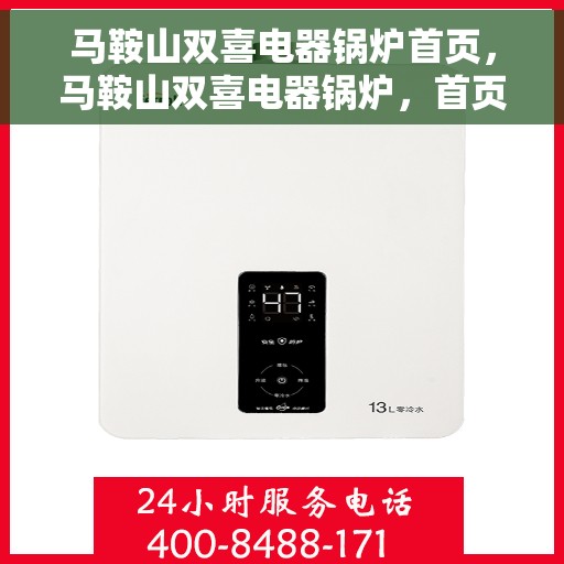 马鞍山双喜电器锅炉首页，马鞍山双喜电器锅炉，首页概览