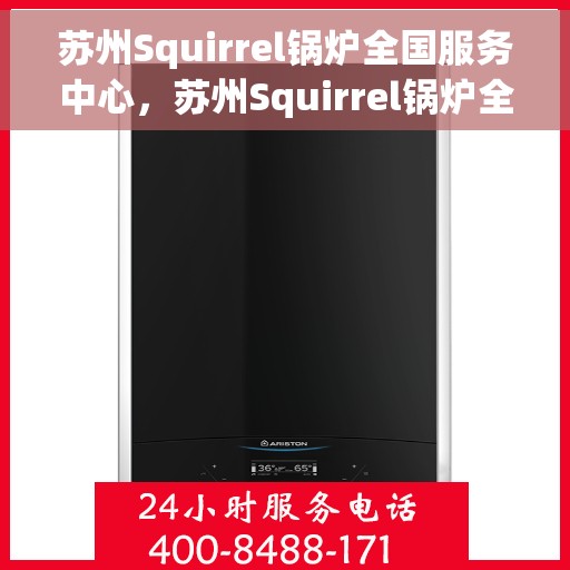 苏州Squirrel锅炉全国服务中心，苏州Squirrel锅炉全国服务中心，专业维修与优质服务并重