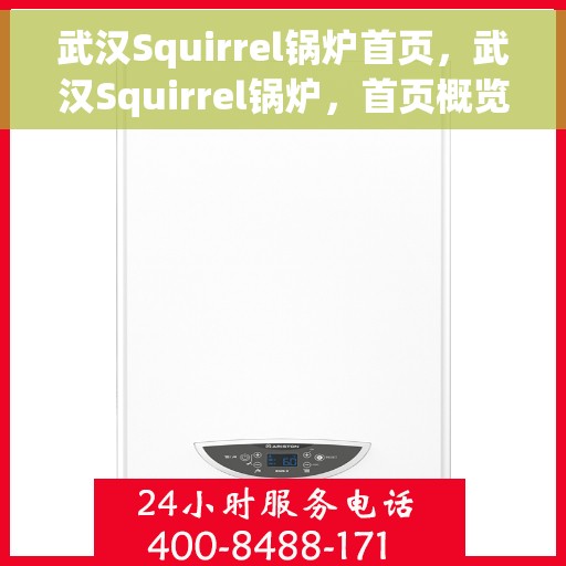 武汉Squirrel锅炉首页，武汉Squirrel锅炉，首页概览