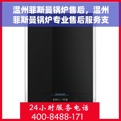温州菲斯曼锅炉售后，温州菲斯曼锅炉专业售后服务支持