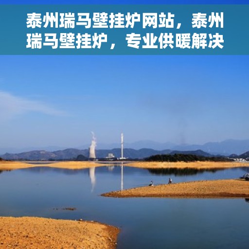 泰州瑞马壁挂炉网站，泰州瑞马壁挂炉，专业供暖解决方案的官方网站