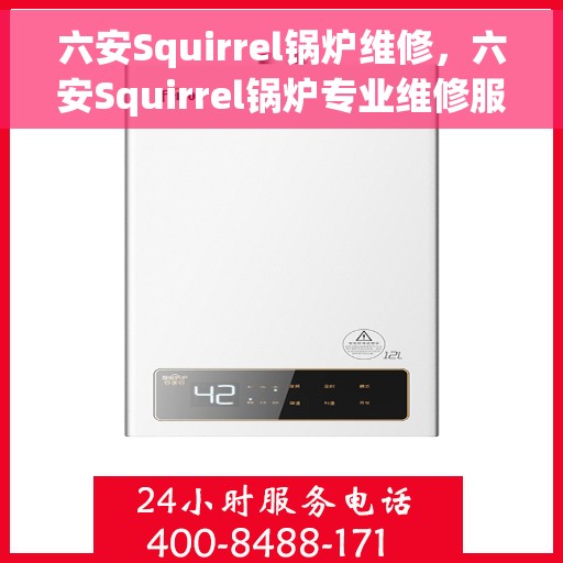六安Squirrel锅炉维修，六安Squirrel锅炉专业维修服务