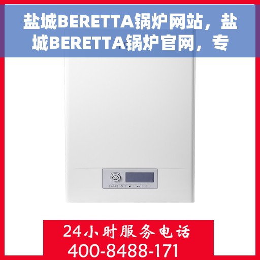 盐城BERETTA锅炉网站，盐城BERETTA锅炉官网，专业品质，高效供暖的先锋之选