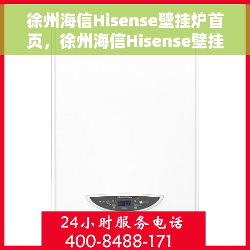 徐州海信Hisense壁挂炉首页，徐州海信Hisense壁挂炉，专业温暖解决方案的首页呈现
