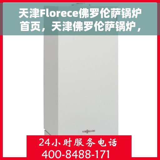 天津Florece佛罗伦萨锅炉首页，天津佛罗伦萨锅炉，专业品质，温暖首选