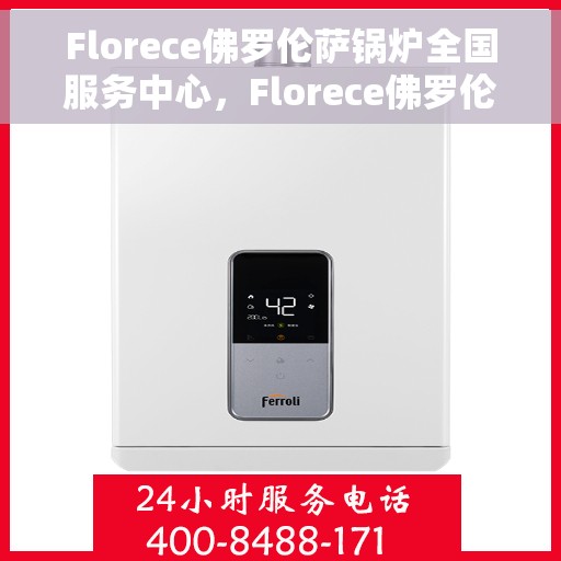 Florece佛罗伦萨锅炉全国服务中心，Florece佛罗伦萨锅炉全国服务中心，专业维修与贴心服务