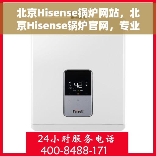 北京Hisense锅炉网站，北京Hisense锅炉官网，专业品质，智能温控