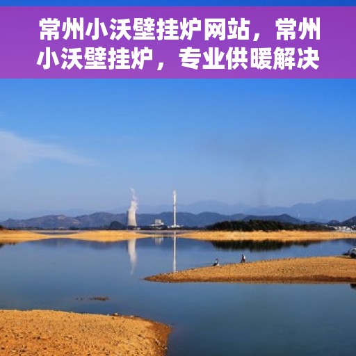 常州小沃壁挂炉网站，常州小沃壁挂炉，专业供暖解决方案，品质之选