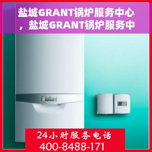 盐城GRANT锅炉服务中心，盐城GRANT锅炉服务中心，专业维护与高效运行的保障