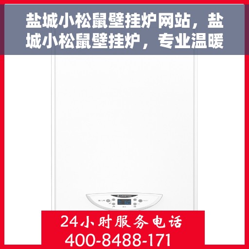 盐城小松鼠壁挂炉网站，盐城小松鼠壁挂炉，专业温暖解决方案，品质之选