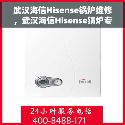 武汉海信Hisense锅炉维修，武汉海信Hisense锅炉专业维修服务