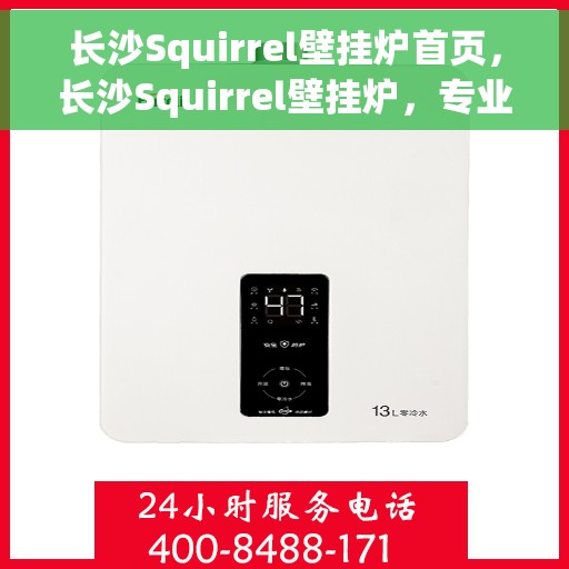 长沙Squirrel壁挂炉首页，长沙Squirrel壁挂炉，专业品质，温暖家居首选