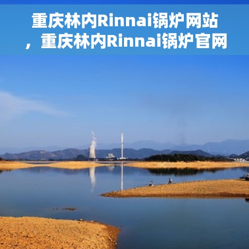 重庆林内Rinnai锅炉网站，重庆林内Rinnai锅炉官网，专业品质，智能温暖您的生活
