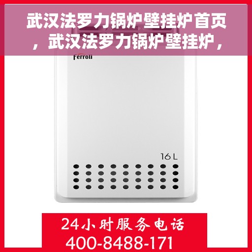 武汉法罗力锅炉壁挂炉首页，武汉法罗力锅炉壁挂炉，专业首页介绍