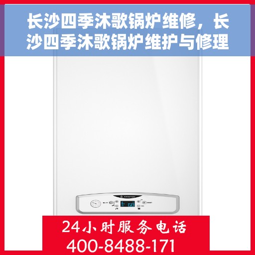 长沙四季沐歌锅炉维修，长沙四季沐歌锅炉维护与修理专家团队