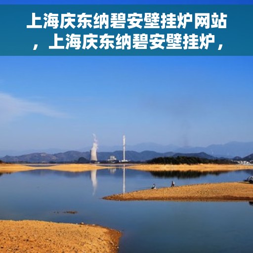 上海庆东纳碧安壁挂炉网站，上海庆东纳碧安壁挂炉，专业供暖解决方案的官方网站