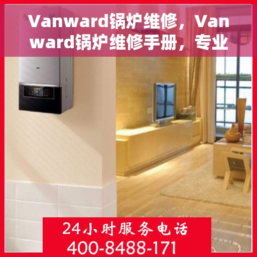 Vanward锅炉维修，Vanward锅炉维修手册，专业维护与故障排除指南