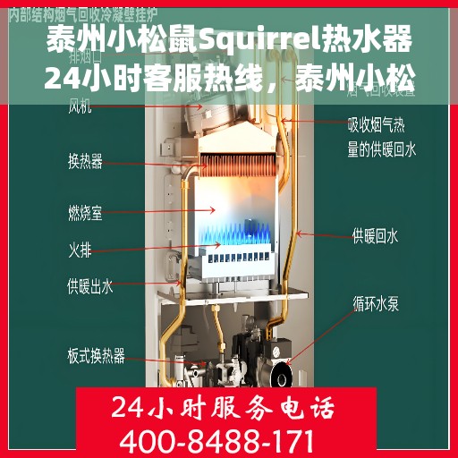 泰州小松鼠Squirrel热水器24小时客服热线，泰州小松鼠Squirrel热水器全天候客服热线服务