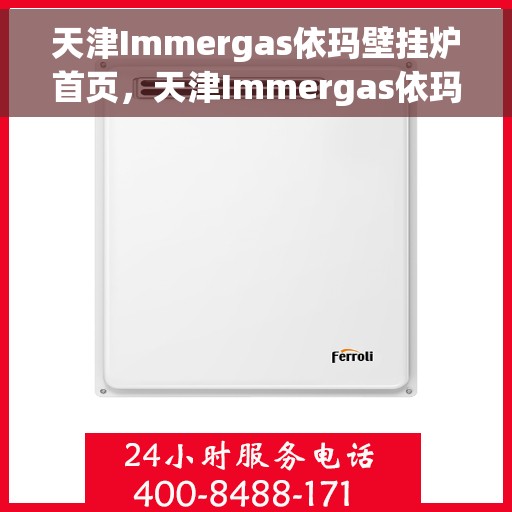 天津Immergas依玛壁挂炉首页，天津Immergas依玛壁挂炉，高效温暖生活的首选之页