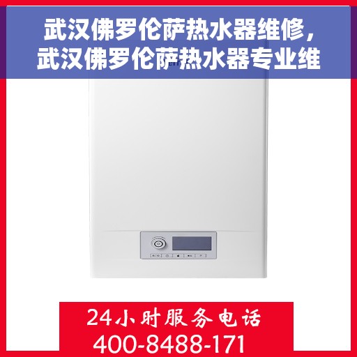 武汉佛罗伦萨热水器维修，武汉佛罗伦萨热水器专业维修服务