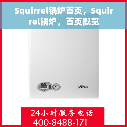 Squirrel锅炉首页，Squirrel锅炉，首页概览