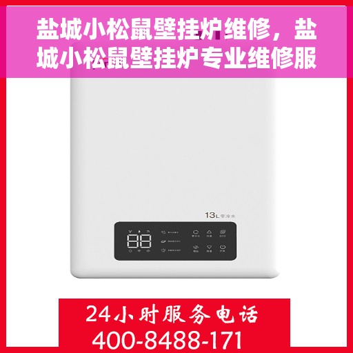 盐城小松鼠壁挂炉维修，盐城小松鼠壁挂炉专业维修服务