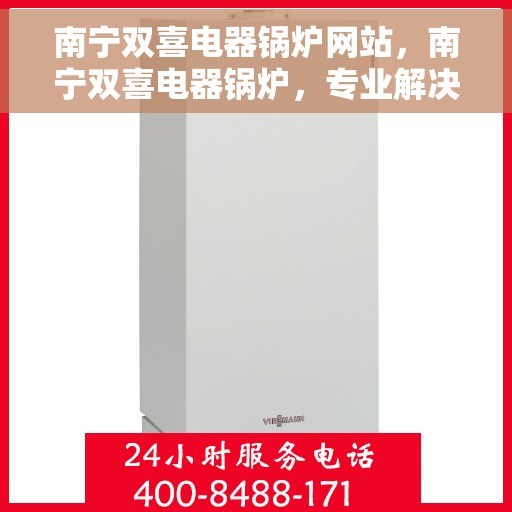 南宁双喜电器锅炉网站，南宁双喜电器锅炉，专业解决方案，品质值得信赖