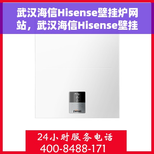 武汉海信Hisense壁挂炉网站，武汉海信Hisense壁挂炉官网，专业品质，温暖千万家庭
