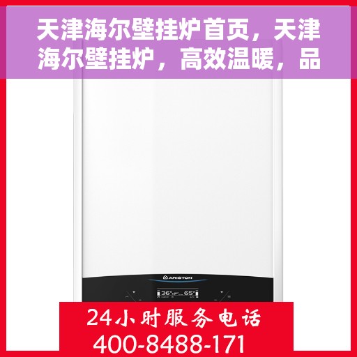 天津海尔壁挂炉首页，天津海尔壁挂炉，高效温暖，品质之选的首页体验