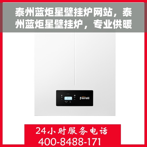 泰州蓝炬星壁挂炉网站，泰州蓝炬星壁挂炉，专业供暖解决方案，品质之选